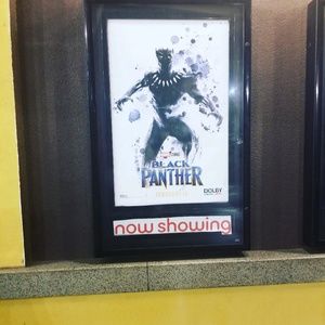 Meet your Posher, Brandon